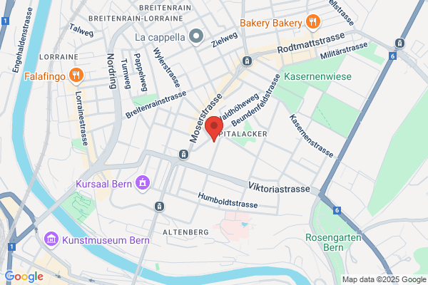 U. Hungerbuehler Signaletiker