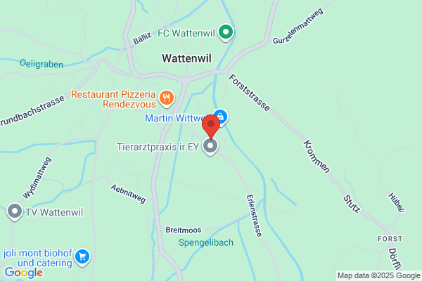 Megert + Partner AG