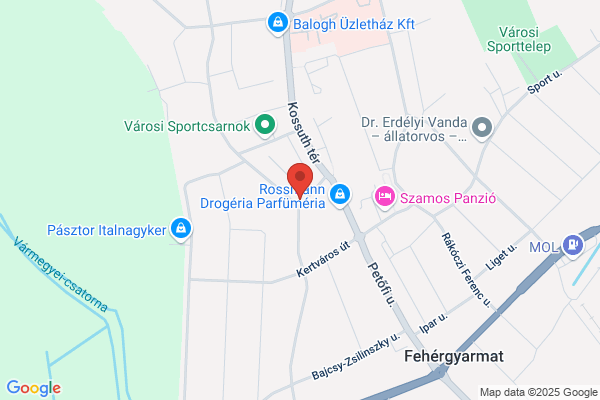 Dr.med.dent. Zsuzsanna Varga