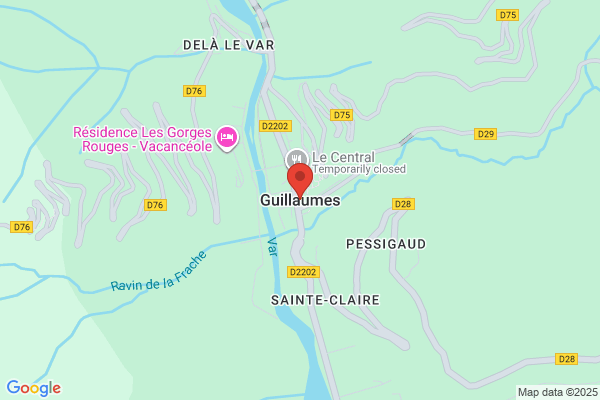 Georges Guillaume