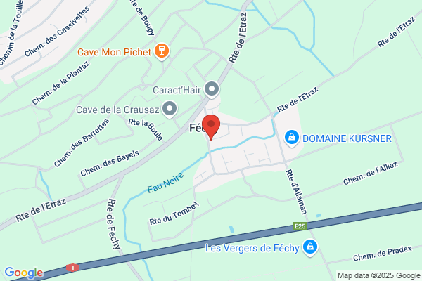 Inspection des forêts du lle arrondissement