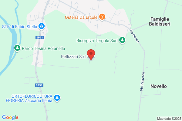 Dario Pellizzani S. à r.l.