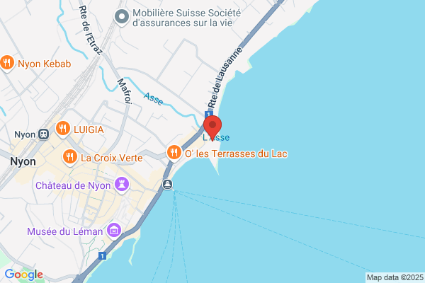 MED DISCOVERY SA