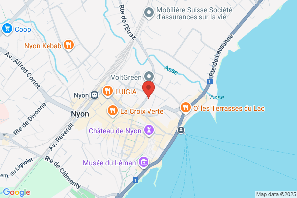 Polyanalytic Nyon