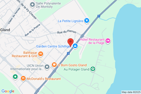Foodex