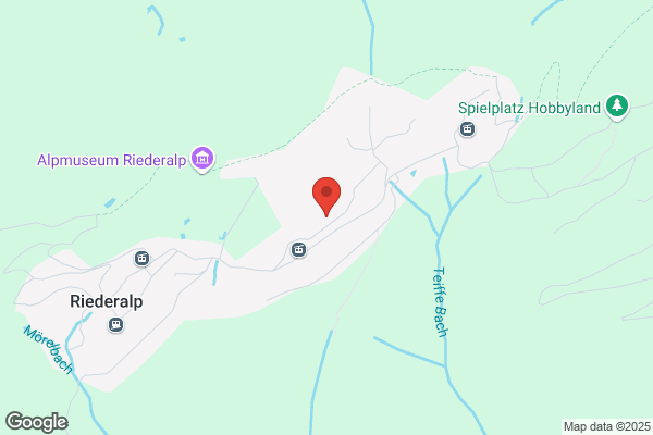 Riederalp-Service