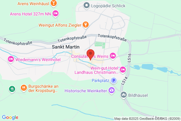 Restaurant St-Martin