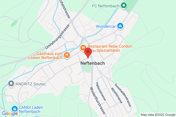 Kantonspolizei Wuelflingen