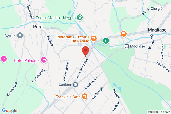 Polizia cantonale