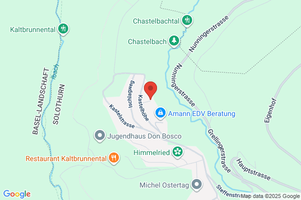 Fahrschule P. Fricker