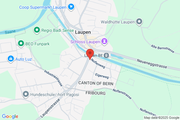 di pietro wysser gmbh