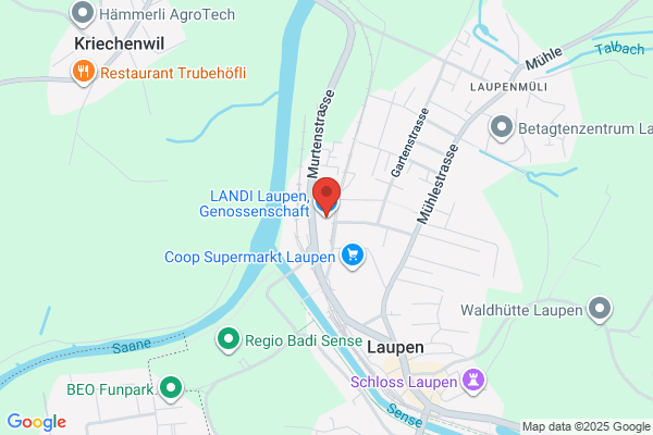 Landi Neuenegg