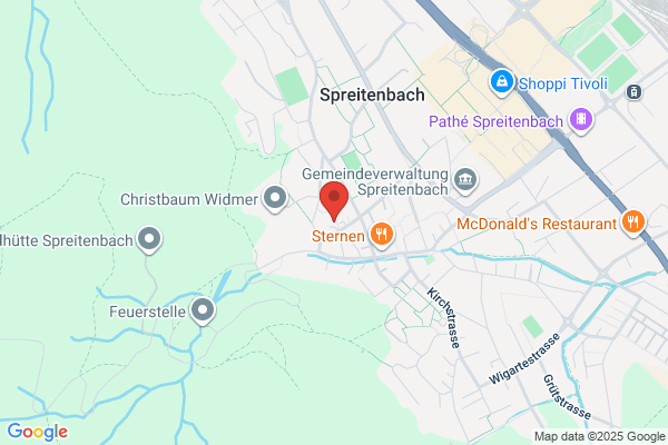 Beni Oehrli und Co Communication Services