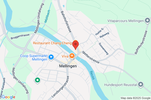 elektro zollinger ag