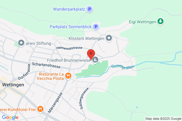 Verdampferreinigung Widmer