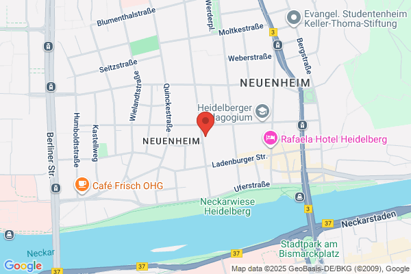 netsway.ch Duelli, Junghans, Kummer, Rueegg