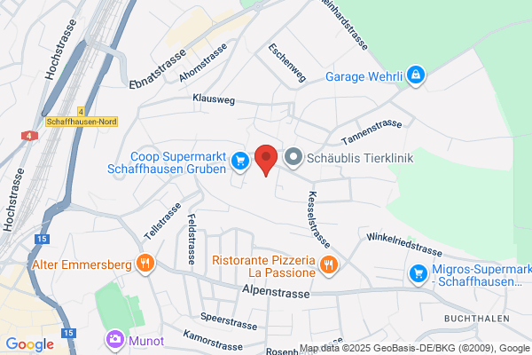 W.-Diethelm Schlatter AG