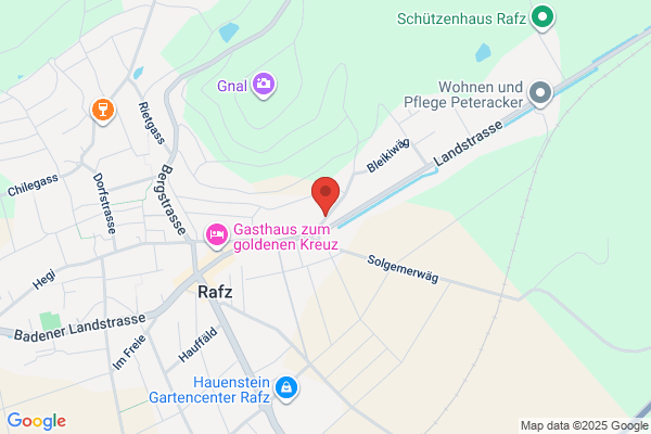 Flying Service GmbH