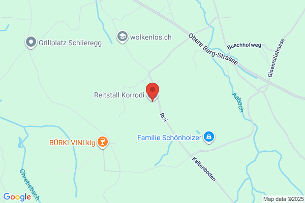 Hansruedi Korrodi