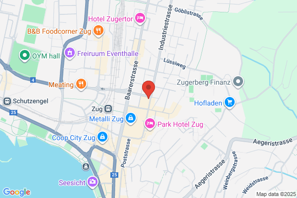 Recon IT Services GmbH c/o CONFIDAS TREUHAND AG