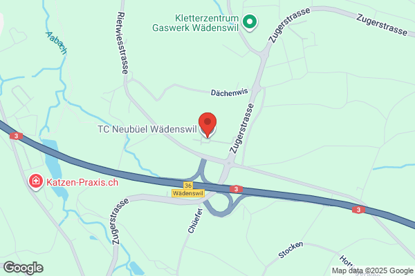Tennishalle Waedenswil