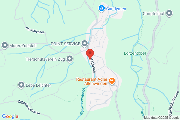Gasthaus Loewen