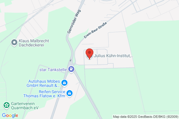 MKI Kissling-Institut