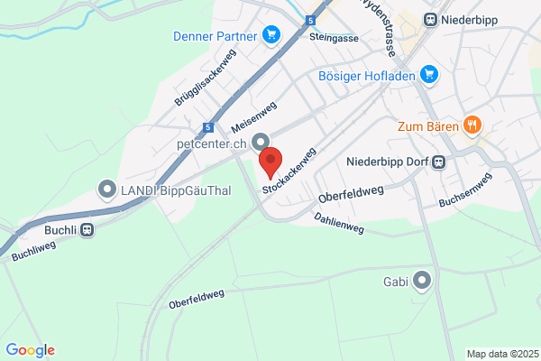 Ryf Holzbau Bedachungen AG