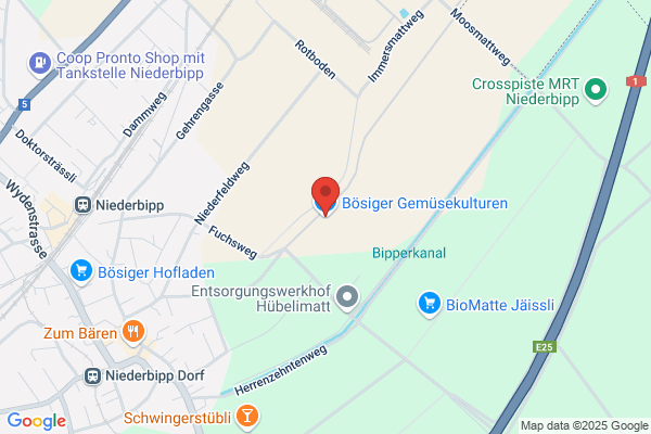 Reto Boesiger