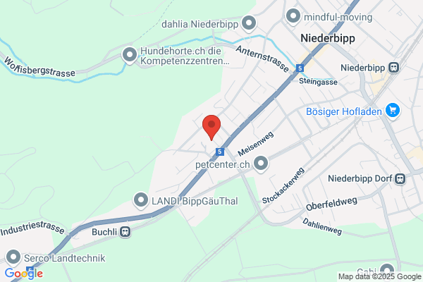 Radsport-Roth