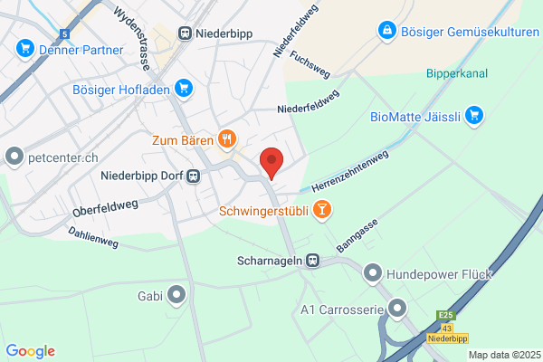 Hanspeter Anderegg