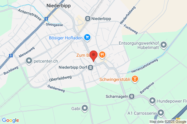 Bewegungsart