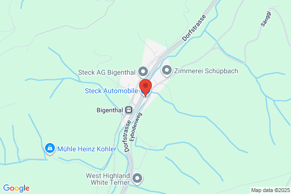 Stectronic M. Steck