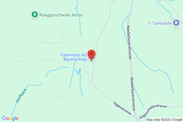 Fuellemann AG