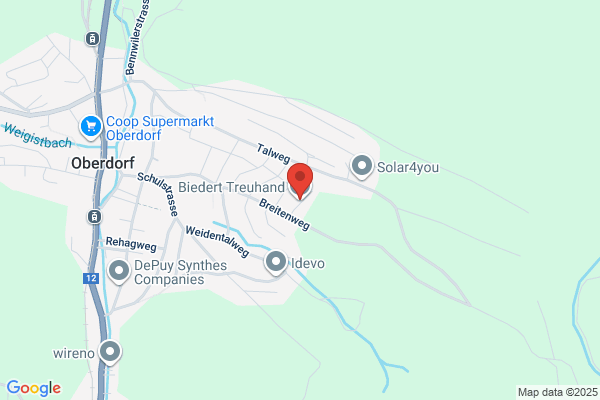 Biedert Treuhand