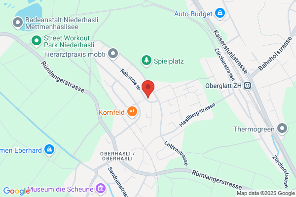 Erni Treuhand GmbH