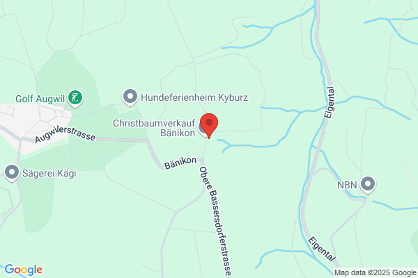 CH-FLITZER Kurier GmbH