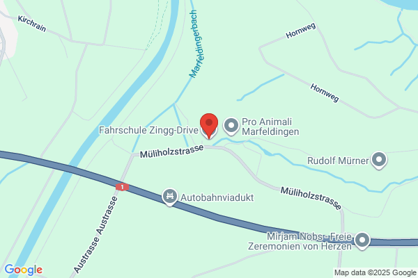 Paul Zingg