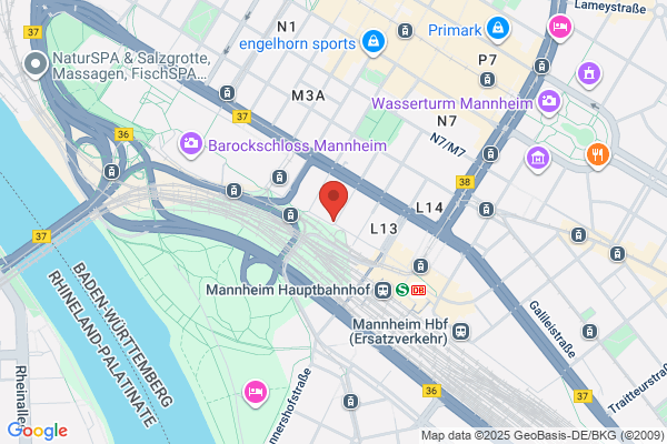 Intem-Trainergruppe