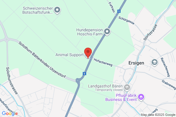 Animal Support GmbH
