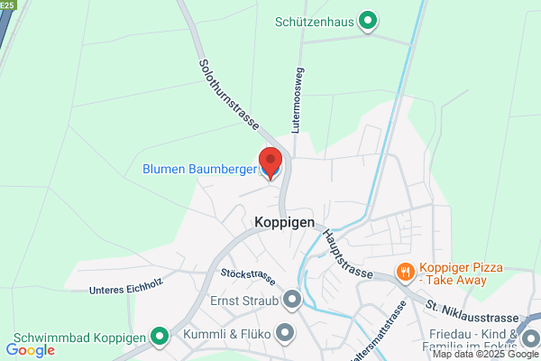 Gaertnerei V. Baumberger