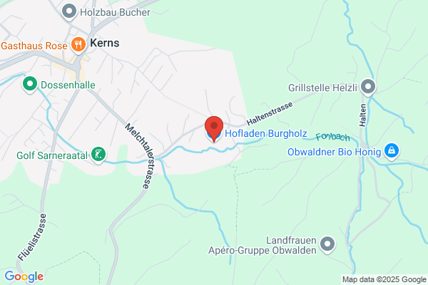 Burgholz GmbH