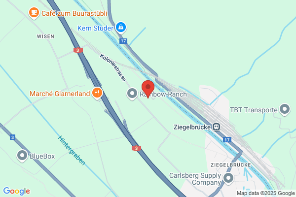 Schulheim Linthkolonie
