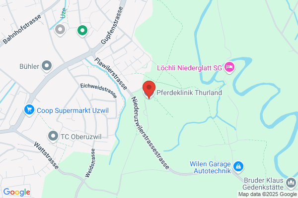 Pferdeklinik Thurland