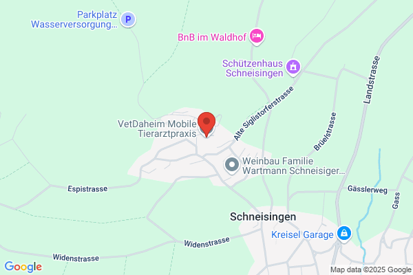 Dr.med.vet. B. Ruediger