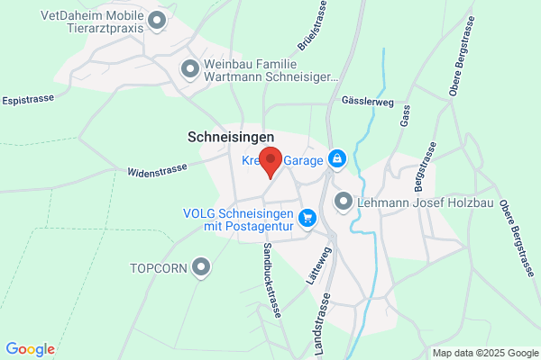 Swiss chips GmbH