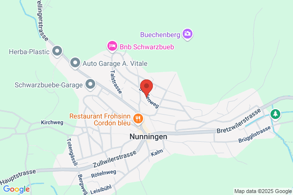 Fahrschule P. Fricker