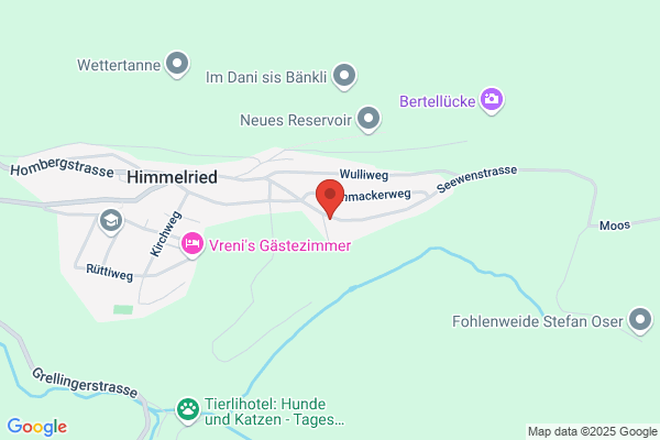 Zum Lila Maessmogge GmbH
