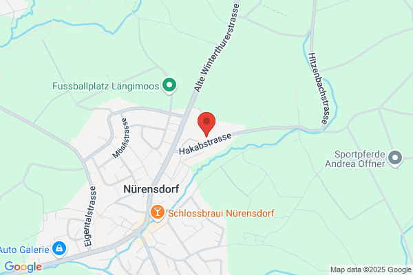 Steig Autohandels AG