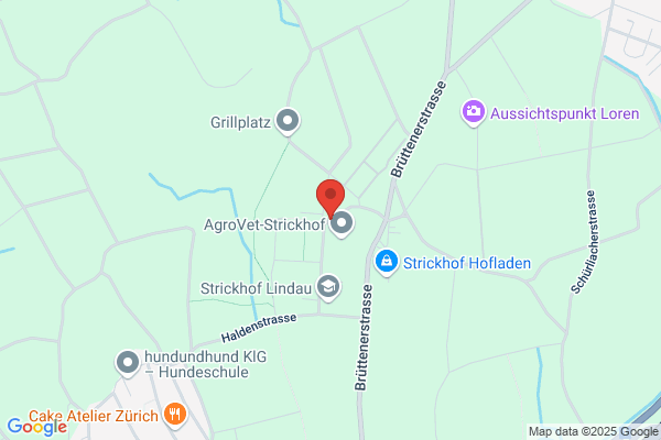 Redaktion Die Gruene